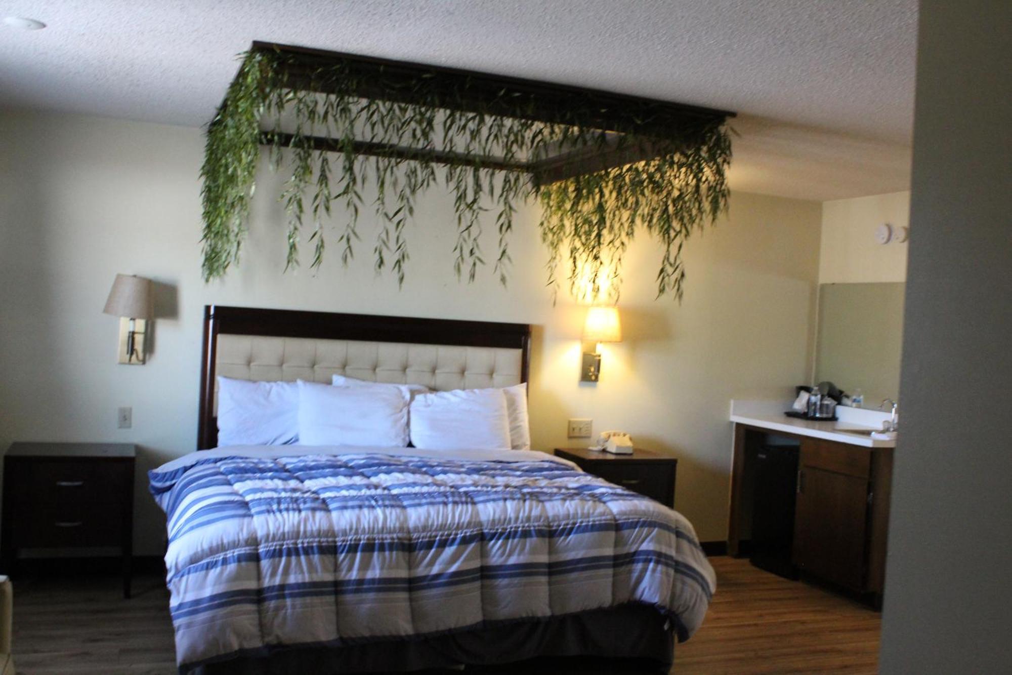 Bellevue Hotel And Suites Zewnętrze zdjęcie